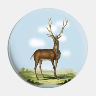 Deer Illustratuion Pin