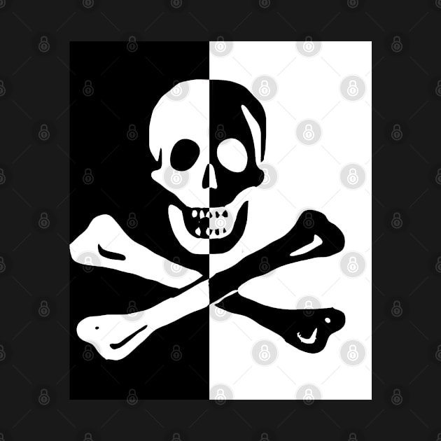 Skull Cross Bones Pirate Skeleton by PlanetMonkey