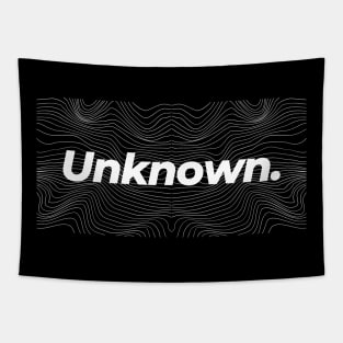 Unknown! Tapestry