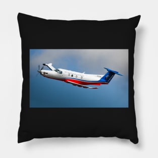 FVE arrival Pillow