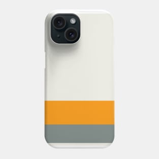 A tremendous shape of Midnight Green (Eagle Green), Platinum, Neon Tangerine and Medium Grey stripes. Phone Case