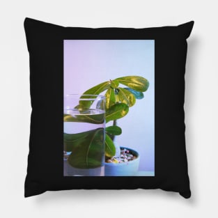 Plant Leaves with Water Glass Photography Pillow