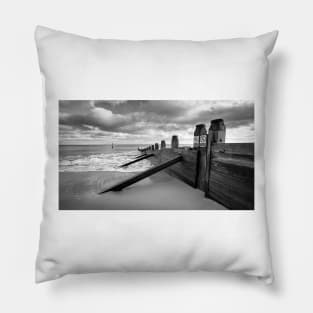 Into The Sea Pillow