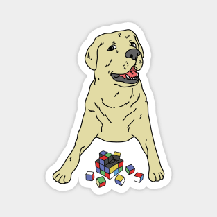 Labrador Playing Rubik's Cube Magnet