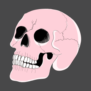 Pretty Pink Skull T-Shirt