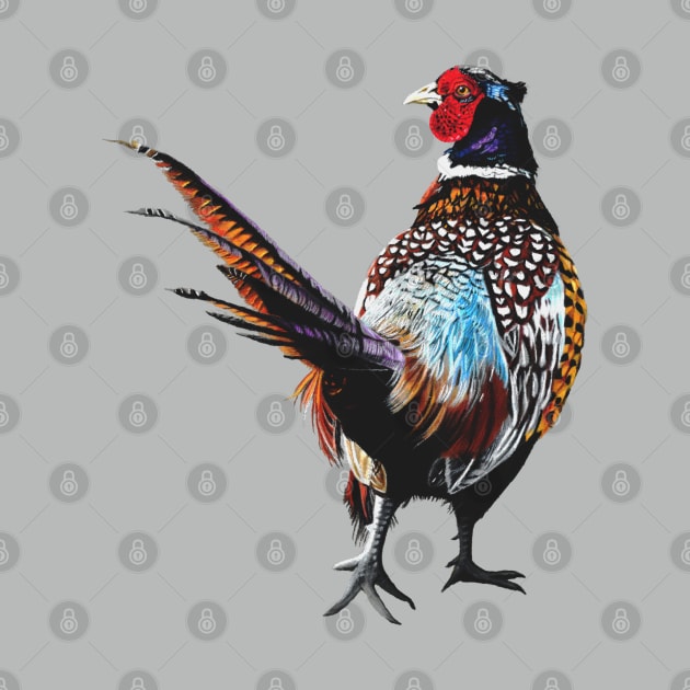 Ardler the Pheasant by IslesArt