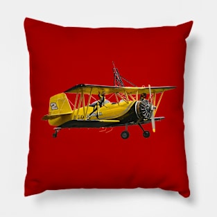 GRUMMAN AG CAT Pillow