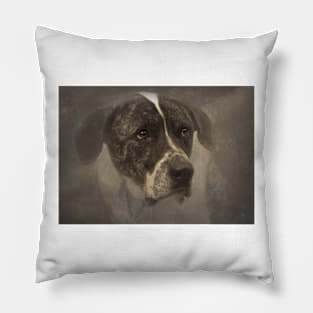 Sepia Great Dane Pillow