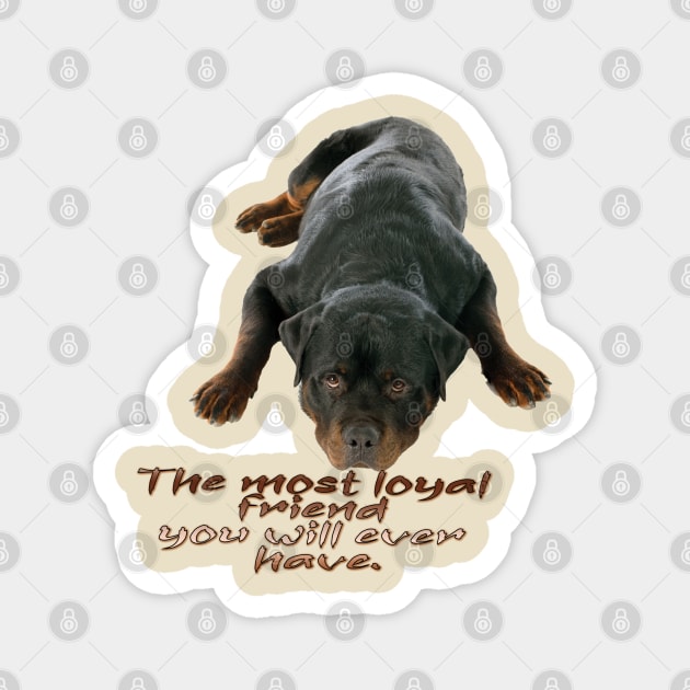 Rottweiler the boss dog Magnet by TeeText