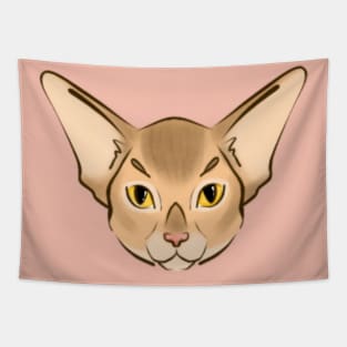 Baby abyssinian Tapestry