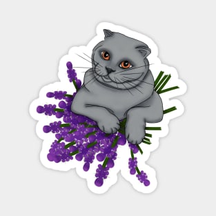 Scottish Fold Cat with a bouquet of lavender Magnet