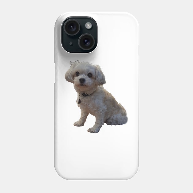 Mr Dexter the Maltese/Chiuahuah Phone Case by Kaczmania