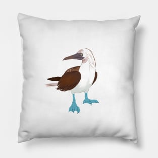 Blue-Footed Booby Pillow