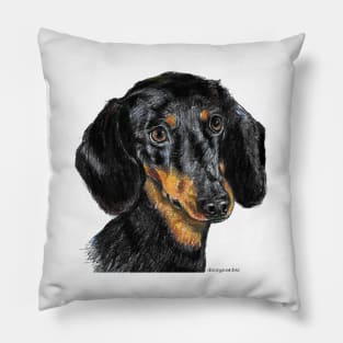 Dachshund illustration Pillow