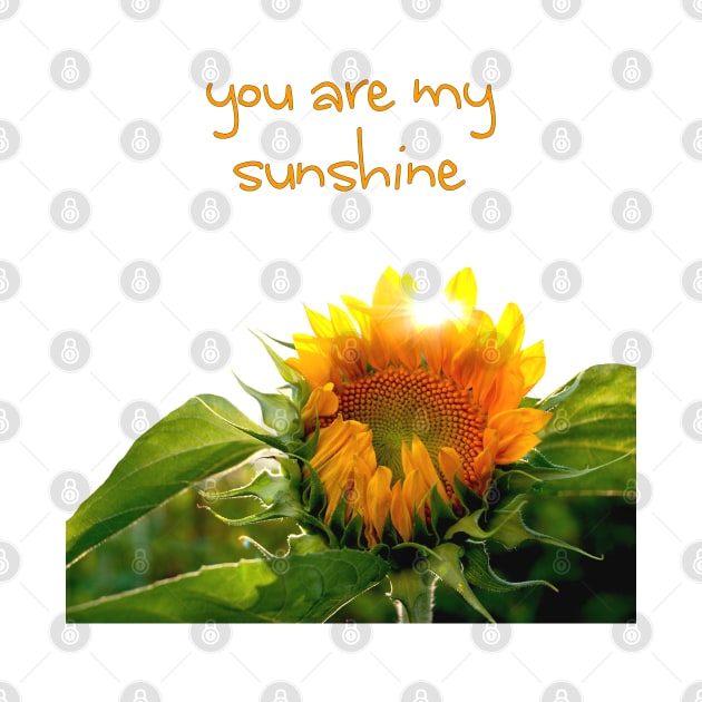 sunflower burst (you are my sunshine) by mystudiocreate