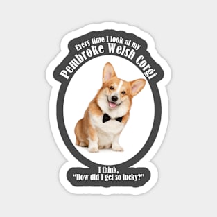 Lucky Corgi Magnet