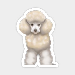 Cute Poodle Drawing Magnet