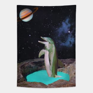 Planet Dolphin Tapestry