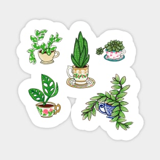 Teacup Plants Magnet