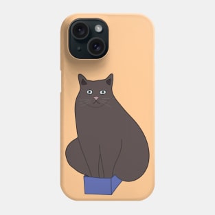 If I fits I sits - Cute Cat Sitting in Box Phone Case