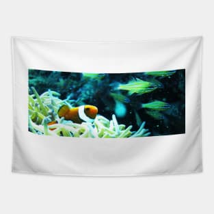 Clownfish Tapestry