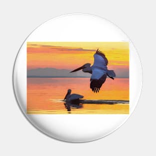 Pelican At In Flight At Sunset Pin