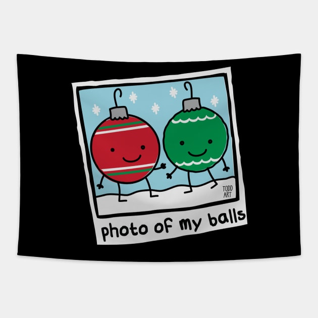 PHOTO OF MY BALLS Tapestry by toddgoldmanart