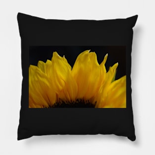 Sunflower Petals Pillow