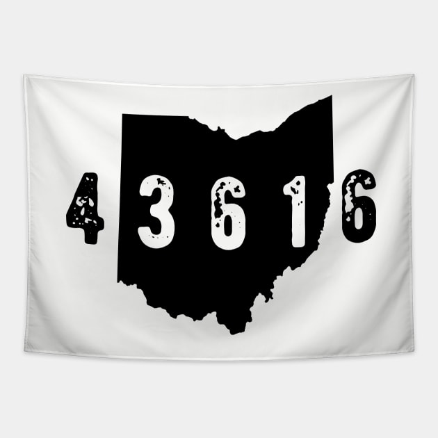 43616 Zip Code Toledo Ohio Tapestry by OHYes