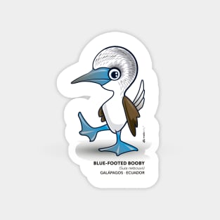 Blue Footed Booby Magnet