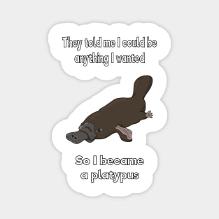 I became a platypus Magnet