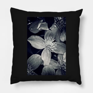 Clematis in Monochrome Pillow