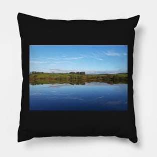 Trees and Blue Sky Reflections in Water Pillow