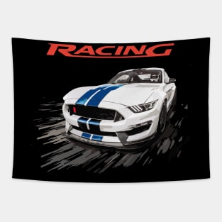 FORD SHELBY USA RACING GT MUSTANG Tapestry