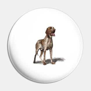 The Bracco Italiano Pin