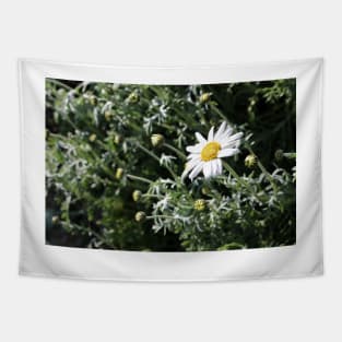 Large Daisy Tapestry