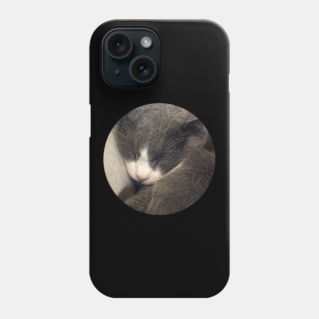 Sleeping Cat / Pictures of My Life Phone Case by nathalieaynie