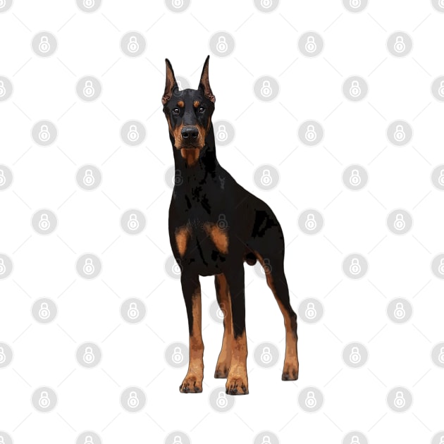 Doberman Pinscher Dog Elegance by ElegantCat