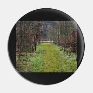 Forest path Pin