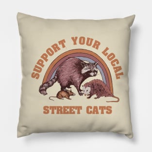 Support Your Local Street Cats // Raccoon Pillow