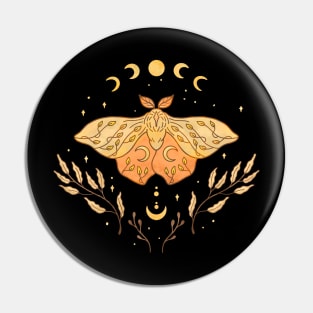 Moon and Moth Pin