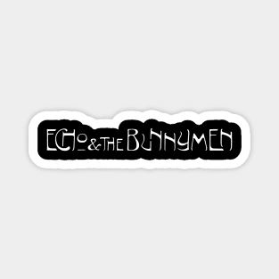 Echo And The Bunnymen Magnet