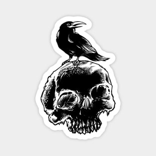 Crow on Skull Magnet