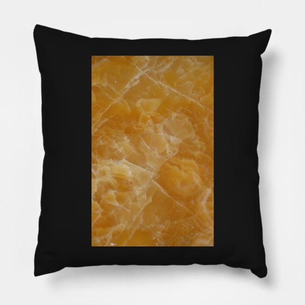 Onyx Pillow by foxxya