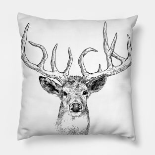 BUCK Pillow