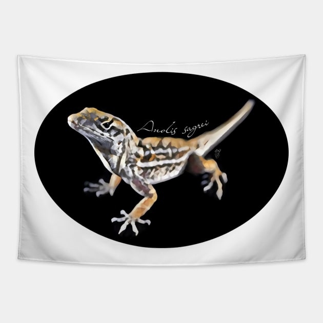 Brown anole with scientific name Tapestry by austinmg