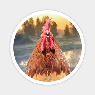 Rise and Shine - Whimsical rooster series #1 Magnet