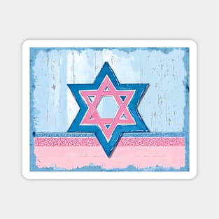 Blue & Pink Shabby Chic Star of David Painting Magnet