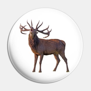 Deer Pin