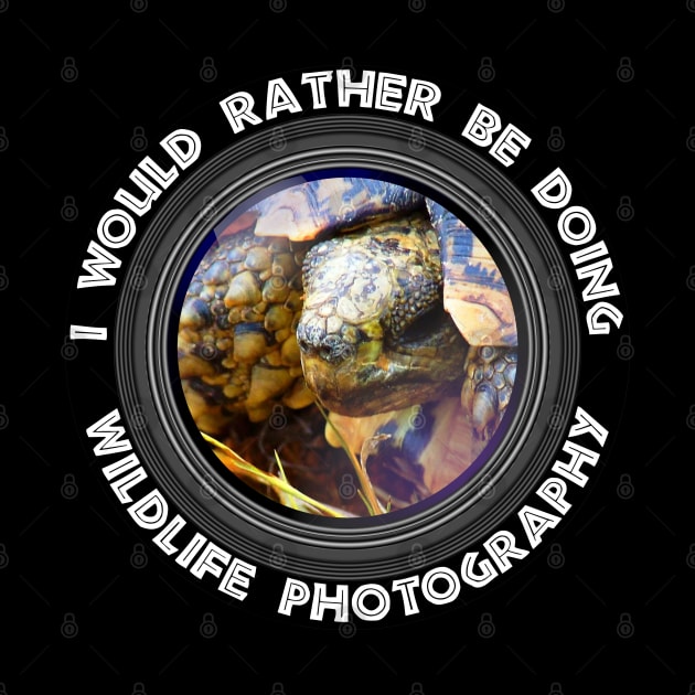 I Would rather be doing Wildlife Photography Leopard Tortoise by PathblazerStudios